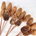 Natural brown pine cones bunch on slender stems for Christmas tree decorations - 6-10cm Pine Tower with 40cm Stem