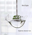 Hanging bird-shaped clear glass planter for hydroponics with rope and small bird design - Bird
