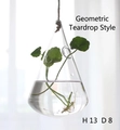 Hanging teardrop glass hydroponic vase with hemp rope for home decor, height 13cm - Geometric Water Drop