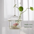 Macro view of mushroom-shaped hanging glass vase with water, pebbles and small fish inside - Mushroom House Shape