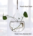 Hanging heart-shaped glass terrarium for hydroponic plants with hemp rope, 12cm height - Heart Style