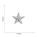Macro shot of silver star embroidery patch with 4.3cm size markers on white background - Silver (Small)