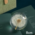 Elegante bola de cristal de diente de león de 8cm con detalles finos sobre libros verdes - Bola de Diente de León 8cm (Caja de Regalo)