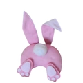 Rabbit Ear Tail Set - Pink