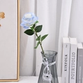 Elbow Rose (shredded Ice Blue)