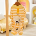 Oso Amarillo