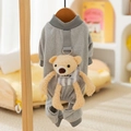 Oso Gris