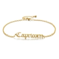 Detailed shot of 18K gold plated Capricorn zodiac pendant on a stainless steel chain - Gold Capricorn