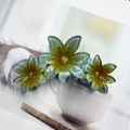 Cute gradient green and blue plumeria flower hair claw clip with a glossy finish - Blue