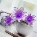 Glossy purple gradient plumeria flower hair claw clip for women's hairstyling - Purple