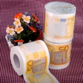 Detail view of 50 Euro novelty printed toilet paper roll on red checkered fabric - 50 Euro