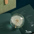 7cm handmade dandelion crystal ball paperweight resting on a book for home decor - Dandelion Ball 7cm (Gift Box)