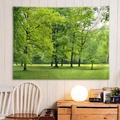 Arazzo da parete con paesaggio boschivo e erba verde primaverile per la casa - 300x180cm / Foresta e Prato