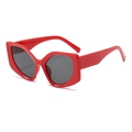 Occhiali da sole cat-eye rossi con montatura spessa e lenti scure dallo stile audace - Montatura Rossa Lente Grigio Scuro