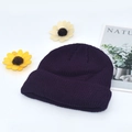 Thick knit dark purple beanie hat for autumn and winter with a cuffed edge finish - Adjustable / Purple