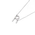 Minimalist silver stainless steel necklace featuring a matte brushed letter R pendant - Letter R (KN88033-K)