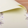 Papier Fleurs Sauvages Wakakusa 20 Feuilles ; 56 X 56 Cm