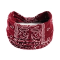 Détail du bandeau paisley bordeaux avec design élastique plissé et texture en coton - Marron Paisley (#5)