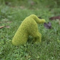 Chien qui Creuse