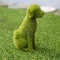 Sitting Dog