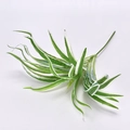 Artificial spider plant spray with variegated green and white leaves for home decor - Spider Plant White Edge