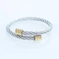 Fashion punk style stainless steel double-layer cable wire twist bangle for men and women - Round End Bangle Silver-Gold