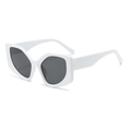 Trendy white chunky frame sunglasses with dark grey lenses and retro cat-eye design - White Frame Dark Grey Lens