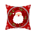 Christmas pillowcase featuring a cartoon Santa Claus with holly and snowflakes pattern - Santa Claus Portrait(DRD213-29)