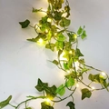 Solar 2M 20LEDs / Two-color Maple Vine