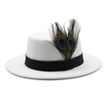 Classic white wool felt boater hat with black ribbon and natural peacock feather accent - White