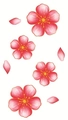 Adesivi per tatuaggi fiori di ciliegio rosa con petali dorati in stile disegnato a mano - Stile Ciliegio Rosa Sfumato (LY419)
