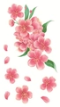 Adesivo per tatuaggio fiori di ciliegio rosa con bordi dorati e foglie su sfondo bianco - Stile Grappolo di Ciliegio con Contorno Dorato (LY424)