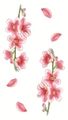 Design per tatuaggio temporaneo con ramo di ciliegio rosa e petali su sfondo bianco - Stile Ramo di Ciliegio con Boccioli (LY421)