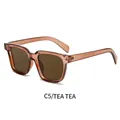 Retro square oversized sunglasses in translucent tea frame and matching brown lenses - Tea Frame Tea Lens