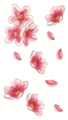 Adesivi per tatuaggi temporanei con fiori di ciliegio rosa e petali estetici disegnati - Stile Illustrazione Estetica Ciliegio (LY423)