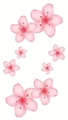Tatuaggi temporanei di fiori di ciliegio rosa acquerello con vari motivi floreali - Stile Ciliegio a Cinque Petali Acquerello (LY411)