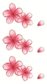 Tatuaggi temporanei di fiori di ciliegio rosa con petali delicati e tonalità morbide - Stile Illustrazione Ciliegio Rosa (LY422)