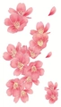 Tatuaggio temporaneo acquerello con fiori di ciliegio e petali rosa per clavicola e pelle - Stile Artistico Ciliegio Acquerello (LY417)