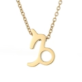 Macro shot of gold stainless steel Capricorn zodiac symbol pendant on a delicate chain - Capricorn - Gold