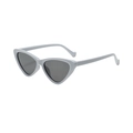 Fashionable light grey cat eye sunglasses with dark lenses and minimalist resin frames - Grey Frame Grey Lens