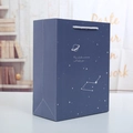 Detail of starry night gift bag with silver woven handle and cosmic quote print - Blue Planet - Small / 14x7x15.5cm