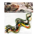 Realistic crawling wildlife snake model set featuring 6 species in clear bag packaging - 6-Piece Set (929-65)