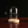 Preserved flower glass dome with wood base, clear display cloche 12cm height by 7cm wide - 7x12cm Raw Wood Flat Base