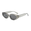 Fashionable translucent gray oval sunglasses with dark lenses and silver metal hinges - Translucent Grey Frame Grey Lens