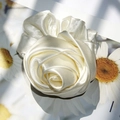 Elegante coletero de rosa de seda blanco crema en tarjeta con motivo floral - Rosa Champán