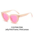 Cat eye sunglasses in matte jelly pink frames with pink lenses, model C10/PINK PINK - Jelly Pink Frame Pink Lens