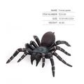 Realistic funnel spider model with blue back markings and detailed striped legs - Funnel Spider ZQ1220