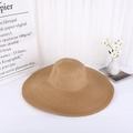 Simple Style Light Coffee