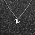 Detailed macro shot of silver stainless steel Z letter pendant on a fine cross chain - Steel Z