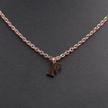 Minimalist rose gold stainless steel necklace featuring a bold uppercase letter F pendant - Rose Gold F